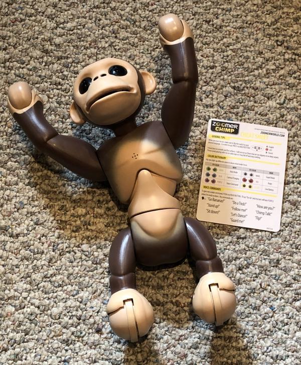 Zoomer Chimp